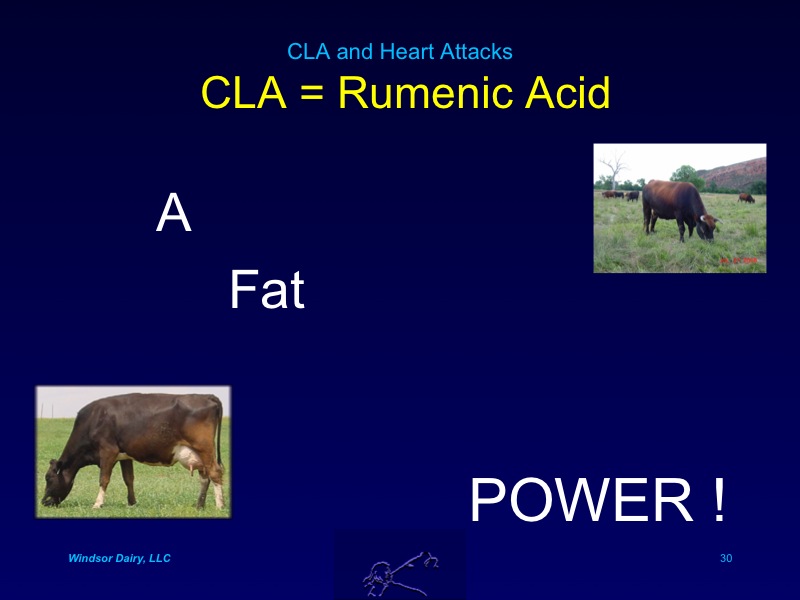Fat CLA Prevents heart attacks
