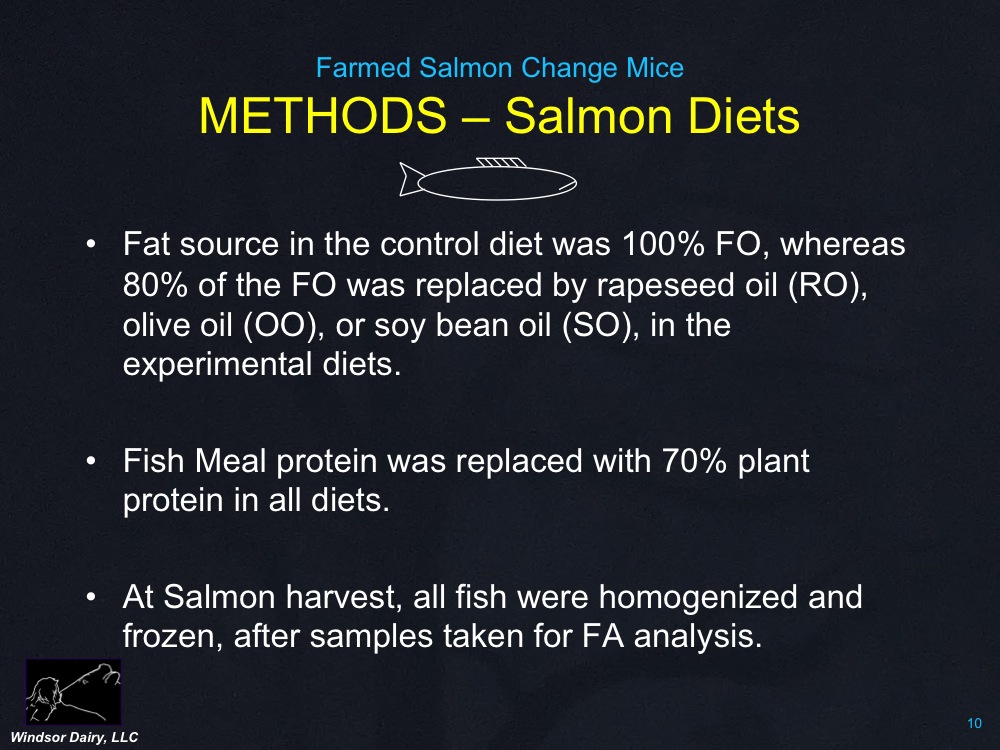 When Farmed Salmon are fed to mice, it changes their FAT.