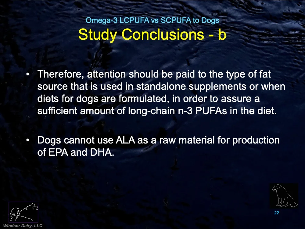 Can Dogs Use SC-PUFAs or are they just like us humans that need an EPA and DHA source?