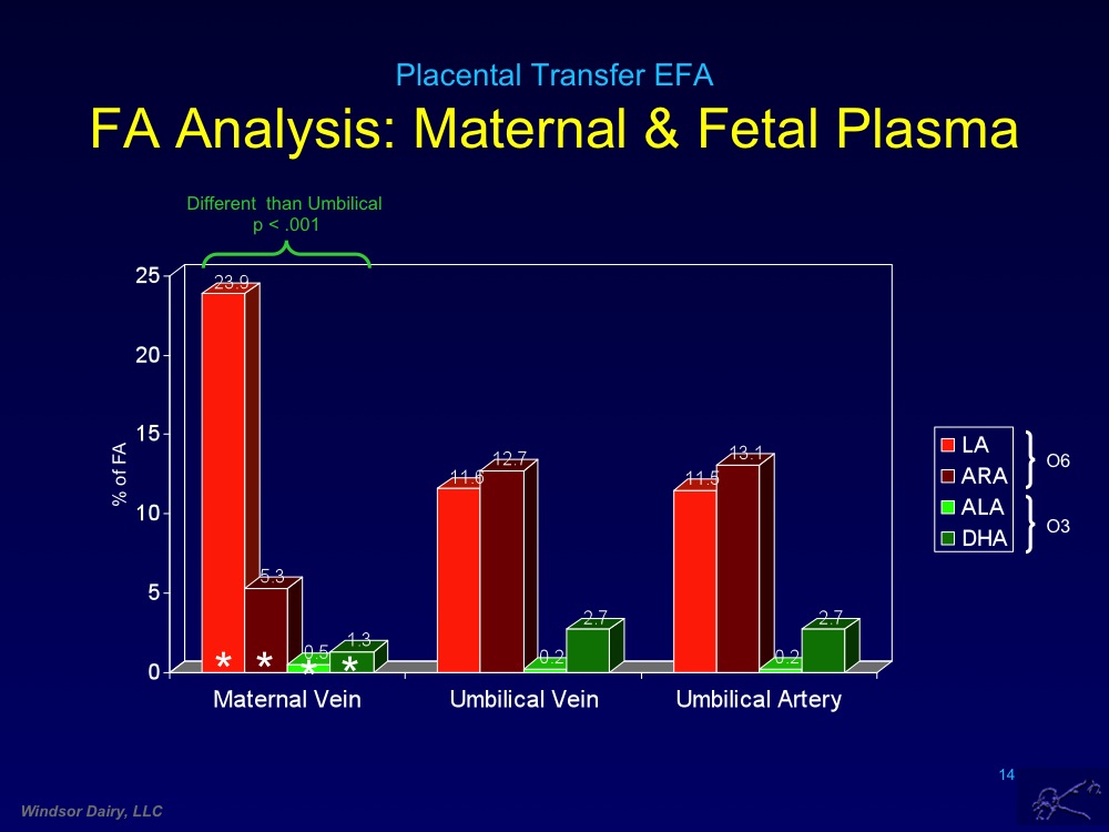 Placental Transfer of Fatty Acids