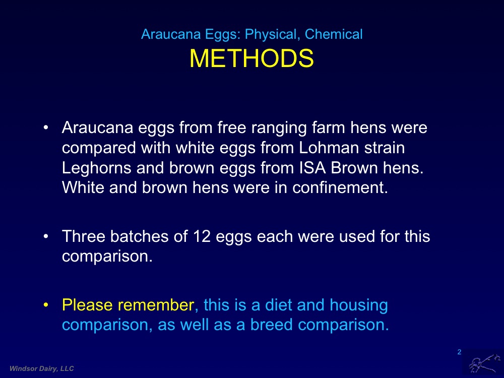 Many of you have reported that Aracauna Eggs are Better - Here's Proof !