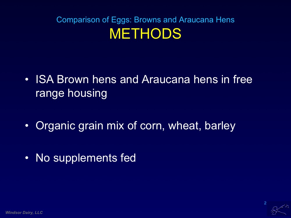 Aracauna Farm Eggs Compared to Confinement Eggs