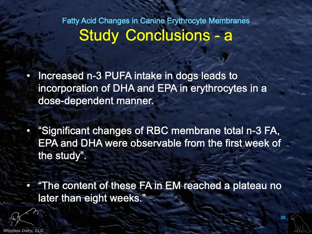 Feed enough EPA, DHA to dogs and they start placing these into their RBC membranes and rejecting omega-6 PUFAs, and it starts in the first seven days! 