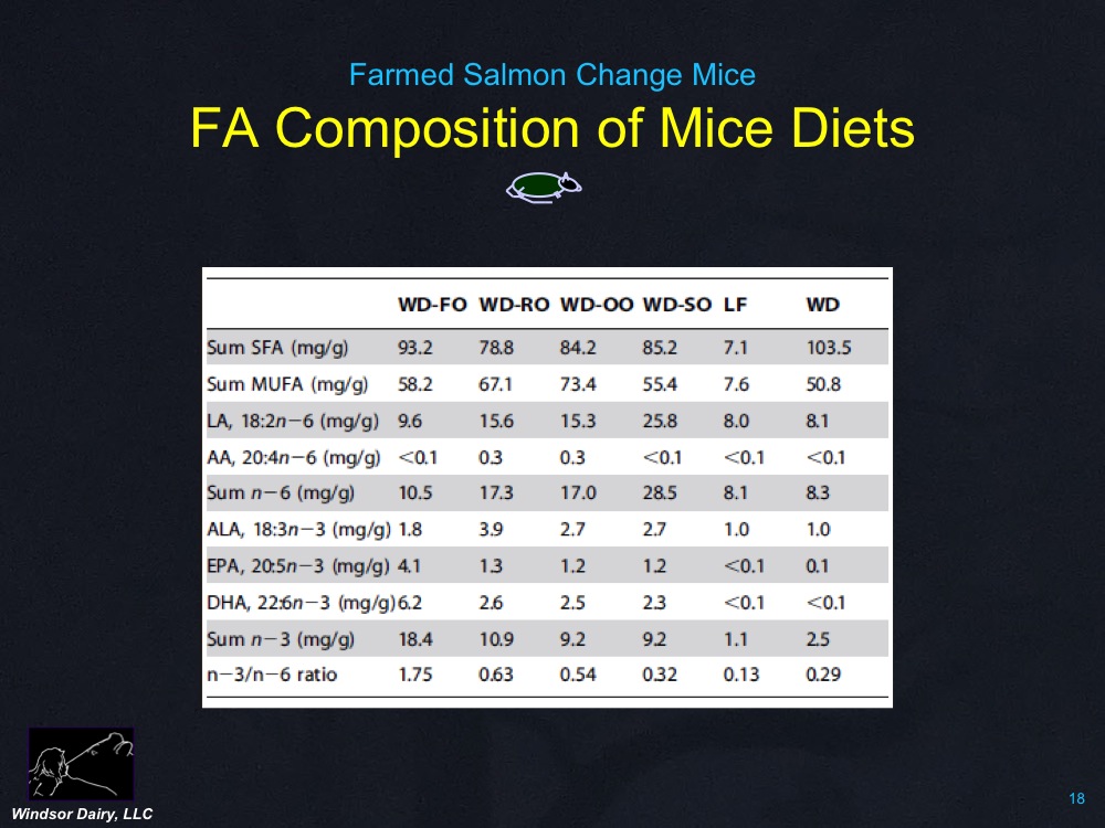 When Farmed Salmon are fed to mice, it changes their FAT.