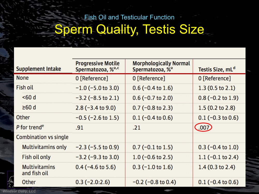 Fish Oil Supplements and Testicular Function