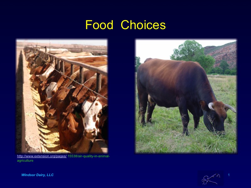 See how Grass Fed Compared to Grain Fed Beef in Uruguayan Study