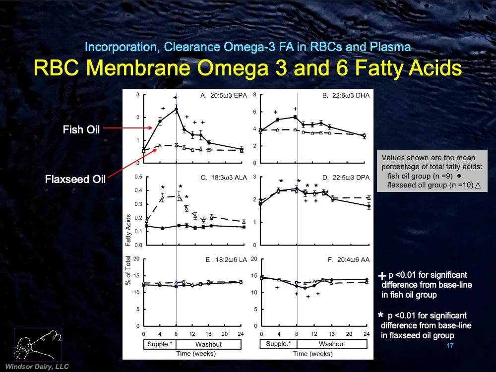 Incorporation and Clearance of Omega-3 Fatty Acids in Erythrocyte Membranes and Plasma Phospholipids