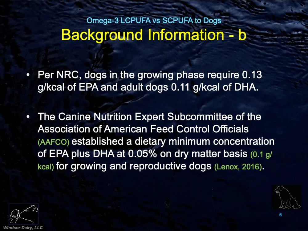 Can Dogs Use SC-PUFAs or are they just like us humans that need an EPA and DHA source?