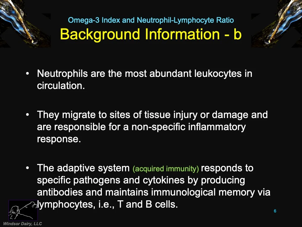 The Neutrophil – Lymphocyte Ratio, is an emerging biomarker of systemic inflammation and the innate-adaptive immune system balance that is readily accessible from a complete blood count.