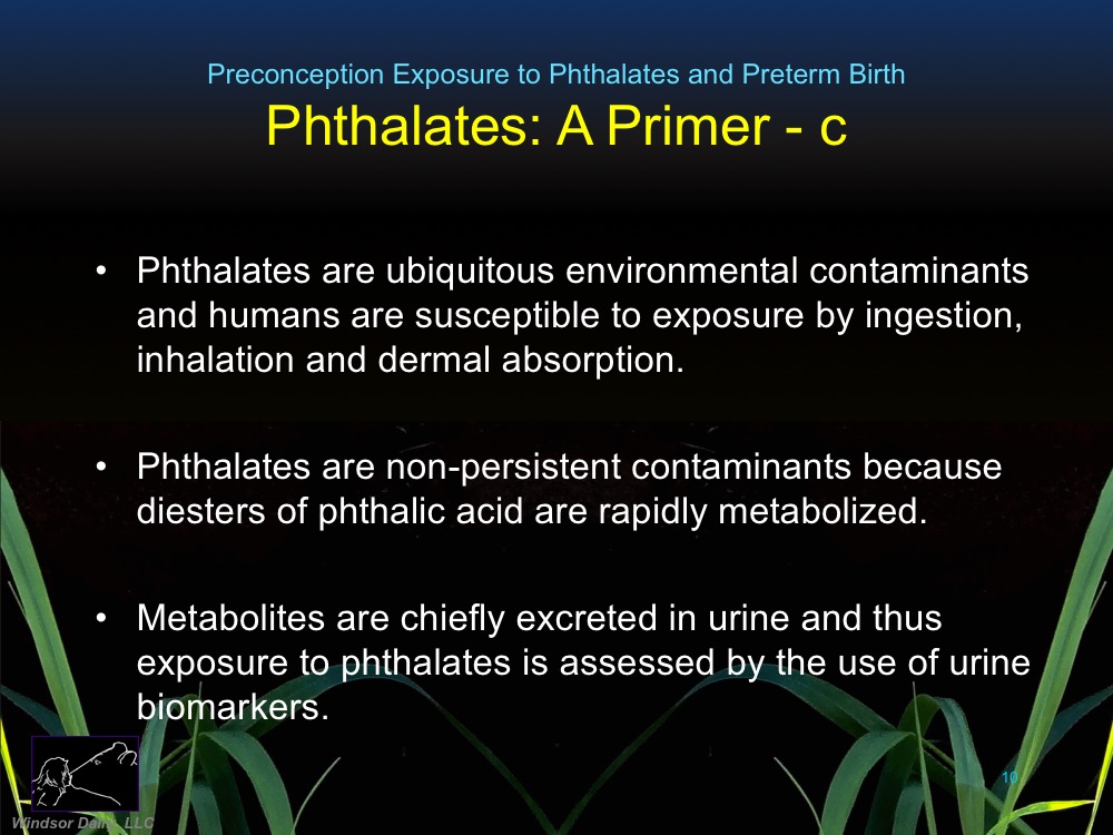 Association of Parental Preconception Exposure to Phthalates and Phthalate Substitutes with Preterm Birth