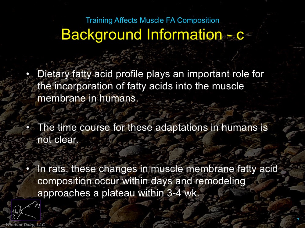Training Affects Muscle Membrane Fatty Acid Composition: Want to guess whether Omega-3s or Omega-6s Increase with training?