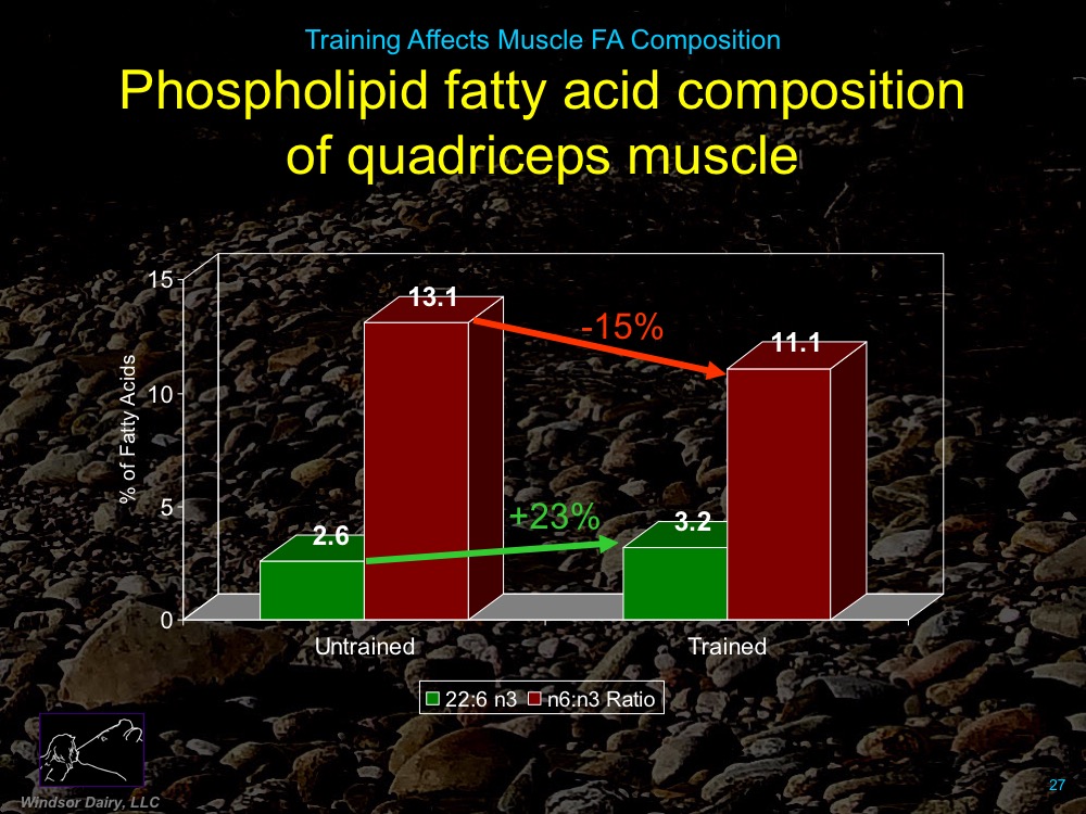 Training Affects Muscle Membrane Fatty Acid Composition: Want to guess whether Omega-3s or Omega-6s Increase with training?
