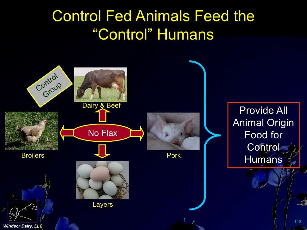 The French fed flaxseed to food producing animals, then fed those animals to humans